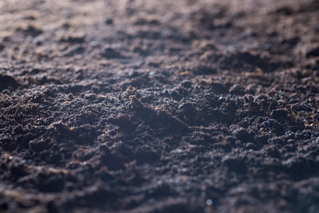 Clean soil for cultivation. The potting soil or peat is suitable for gardening and is one of the...