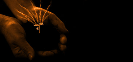 The farmer holds in his hands fertile soil with a green sprout growing on it. Growing vegetable...