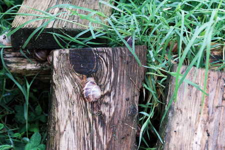 firearms at school. A teenager with a gun on the background of the school. A man goes to school with a gun. school violence.の写真素材