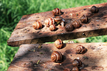 firearms at school. A teenager with a gun on the background of the school. A man goes to school with a gun. school violence.の写真素材