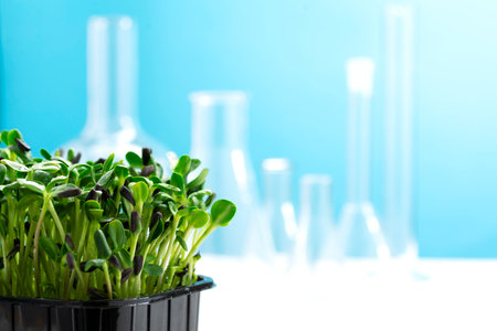 Microgreens on the background of many chemical flasks. Studying the beneficial properties of microgreens. Growing and studying microgreens.の写真素材