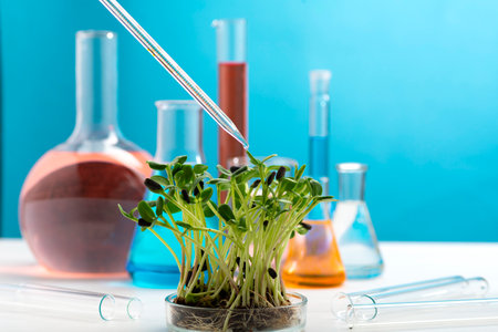 Microgreens on the background of chemical flasks with multi-colored liquids and a chemical pipette with a drop of liquid. Studying the beneficial properties of microgreens. Growing and studying microgreens.の写真素材