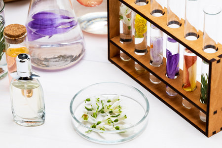 Fresh flowers in chemical test tubes on the table. Preparation of perfumes from natural ingredients, aromatherapyの写真素材