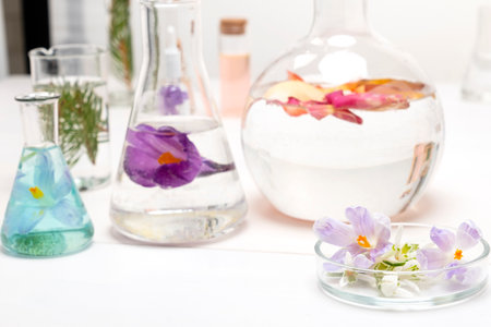 Preparation of perfumes from natural ingredients, aromatherapy. Fresh flowers in chemical flasks and test tubes.の写真素材