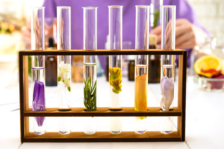 Fresh flowers in chemical test tubes on the table. Preparation of perfumes from natural ingredients, aromatherapy.の写真素材