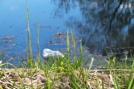 Dirty water. Environmental disaster, the river is littered with plastic bottles and polyethylene, motor oil.の写真素材