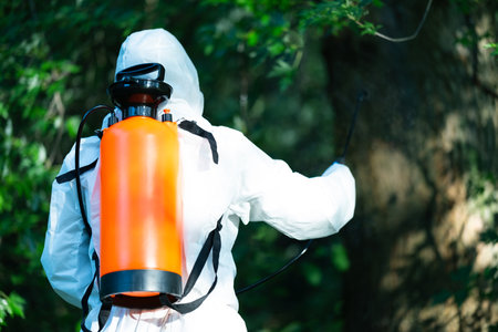Worker spraying pesticide onto green lawn outdoors, closeup. Pest controlの写真素材