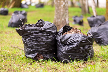Black plastic bags with tree leaves. There are large black plastic garbage bags filled with fallen, dried leaves on the grass. Seasonal cleaning of city streets from fallen leaves. Cleaningの写真素材