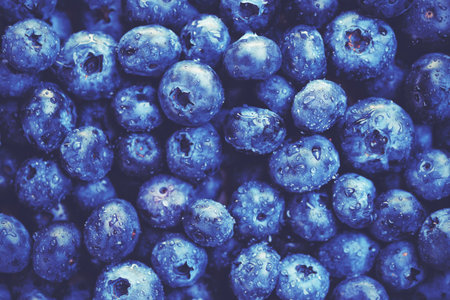 Blueberry berry background. Macro. Fresh blueberry background. Water drops on ripe blueberries. Background from freshly picked blueberries, close-up. Blue berries of blueberry close-up, macro.の写真素材