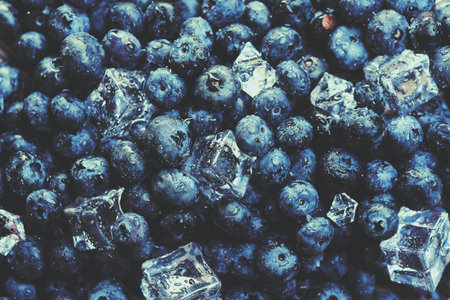 Blueberry berry background. Macro. Fresh blueberry background. Water drops and ice cubes on ripe blueberriesの写真素材