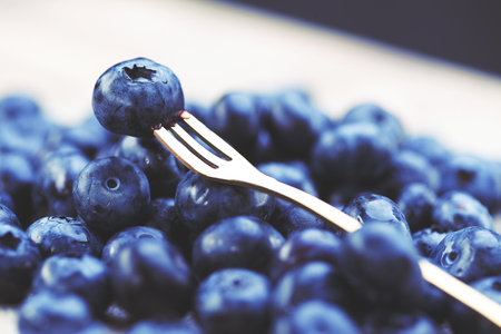 Fresh blueberries on a fork close-upの写真素材