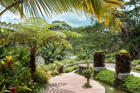 Scenic wooden road surrounded by palm trees and tropical plants on the island of Bali. Beautiful amazing view of sunny jungle and tropical  plants. Walk in the shade of green tropical trees,Bali.のeditorial素材