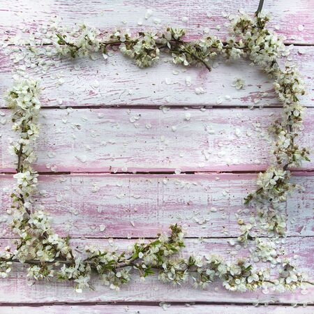 spring background frame from branches of blooming cherry on a pink and white wooden background with scratches out of focus with blurの写真素材