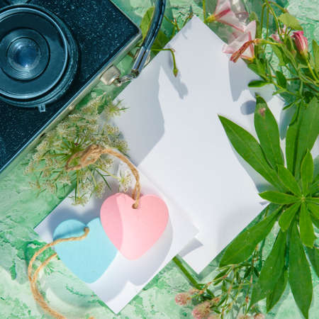 blue and pink hearts flowers and camera flat layの写真素材