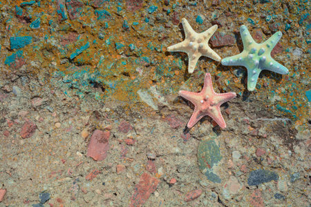 three multicolored starfishes lie flat lay on old stone concrete slab