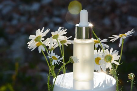 aroma oil chamomile extract on a dark blurred natural background with chamomiles and sun glare