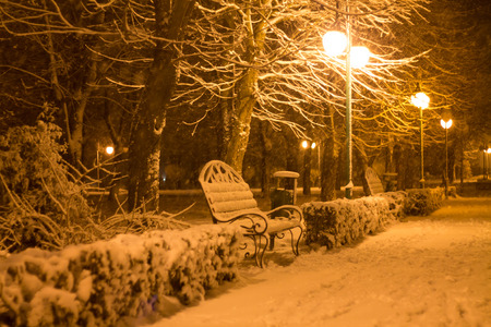winter parkの写真素材