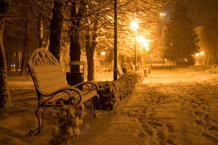 winter parkの写真素材
