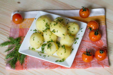 young potatoの写真素材