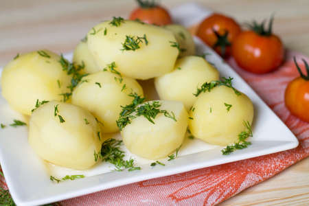 young potatoの写真素材