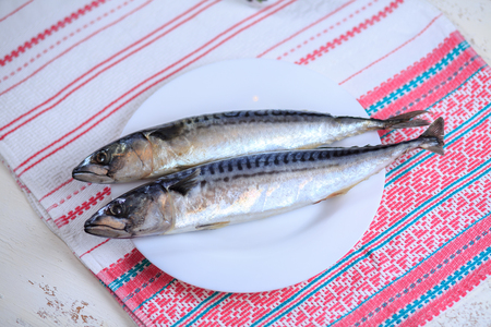 Crude mackerel on a white plate on a light backgroundの写真素材