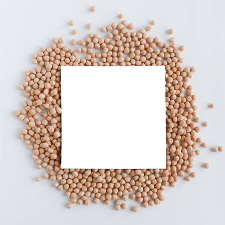 Mocap. chickpeas on a light background.の写真素材