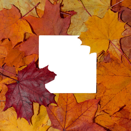 Autumn background of dry bright orange and red maple leaves. Flat lay, top view with copy space for...