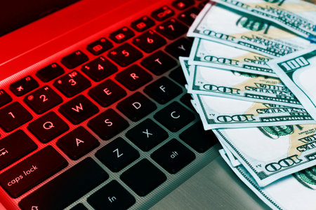 the concept of Internet fraud, hacking of payment systems, hacking of electronic wallets. Computer...
