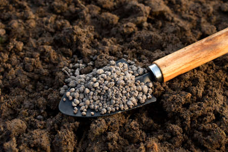 Chemical fertilizer close-up. NPK fertilizer for plants, gardening concept.の写真素材