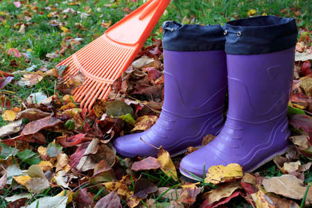 Fan rake, rubber boots and a pile of fallen leaves in an autumn park or garden. The concept of cleaning dry foliage from the law. Foliage cleaning, garden work in the fal.の写真素材
