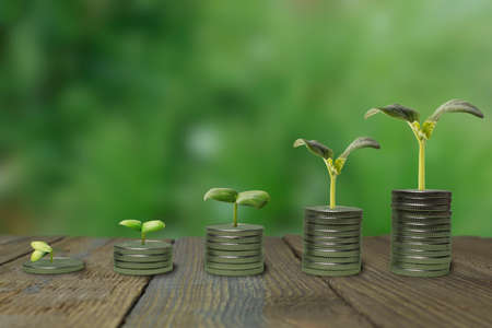 Dollar coins in a stack, growing graph with green background. the concept of investing, investing in business, maximizing profit, business finance and saving money. plant growing on a coin.の写真素材
