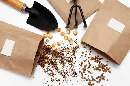 Top view of the various seeds of vegetables in eco packaging, next to the garden equipment. The concept of spring gardening, growing vegetables in your garden.の写真素材