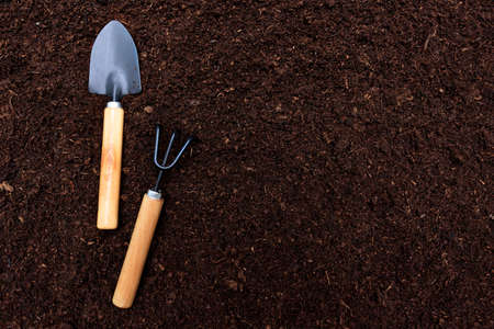Gardening tools on soil. Horticulture and gardening concept. Spring in the garden. copyspace.の写真素材