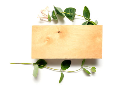 wooden letterhead for text among the green branches. Mockup invitation, blank greeting card and green leaves. Flat lay, top view. The concept of naturalness, nature. flower mockupの写真素材