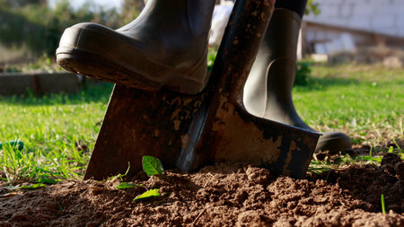 The gardener is digging in the garden. Soil preparation for planting in spring. gardening.
