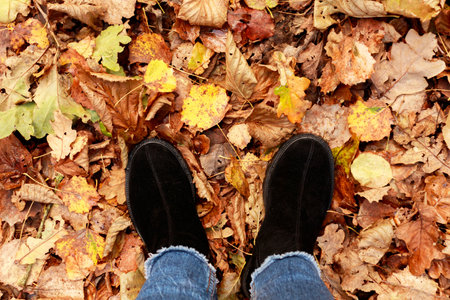 Conceptual image of legs in boots on the autumn leaves. Feet shoes walking in nature. autumn...