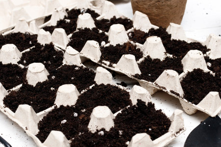 Soil prepared for sowing seeds in ecological trays. The concept of reuse and recycling, ecological...
