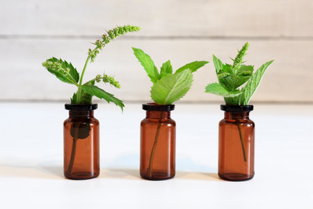 Fresh mint leaves with brown bottles for the preparation of aromatic oil, hydrolate. The concept of natural medicine, natural products, copy spaceの写真素材
