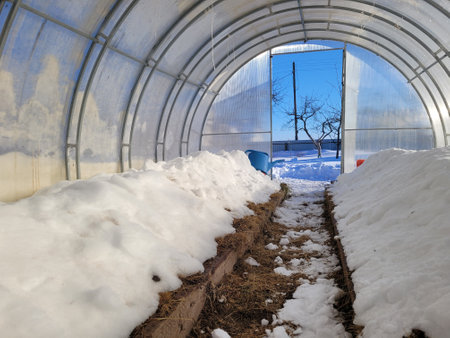 Snow in the greenhouse in winter to moisten the soil. The benefits of snow in a greenhouse.の写真素材