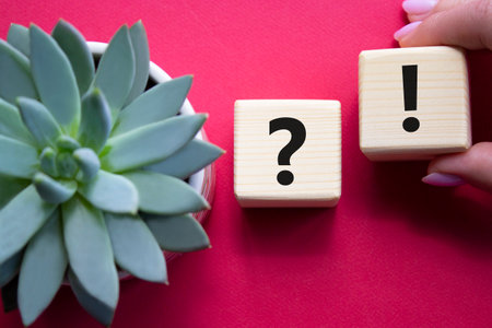 Question mark and exclamation mark symbol. Question mark and exclamation mark on wooden cubes. businessman hand. Beautiful red background with succulent plant. business concept. copyspace.の写真素材