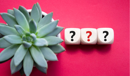 Question marks symbol. Concept words question mark on wooden cube. Beautiful red background with succulent plant. Business and question mark. Copy space.の写真素材