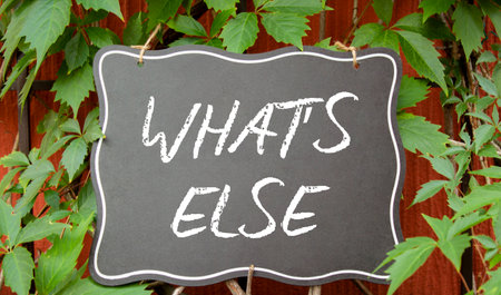 What else symbol. Concept words What else on black chalk blackboard. Beautiful red background with plants. Business and What else concept. Copy spaceの写真素材