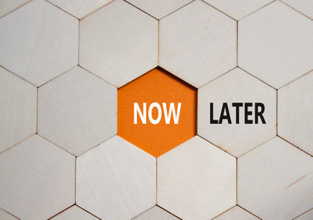 Now vs Later symbol. Concept word Now vs Later on wooden comb puzzle. Beautiful orange background. Business and Now vs Later concept. Copy spaceの写真素材
