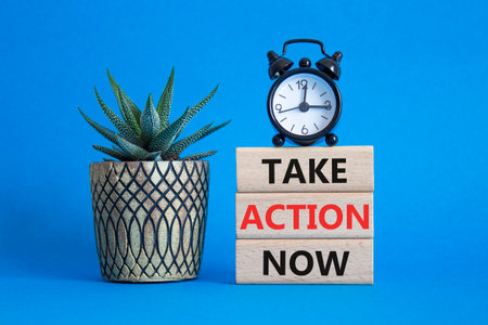 Take action now symbol. Wooden blocks with words Take action now. Beautiful blue background with succulent plant and alarm clock. Business and Take action now concept. Copy space.の写真素材