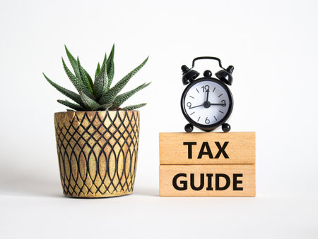 Tax Guide symbol. Concept word Tax Guide on Beautiful white background with alarm clock and succulent plant. Business and Tax Guide concept. Copy spaceの写真素材