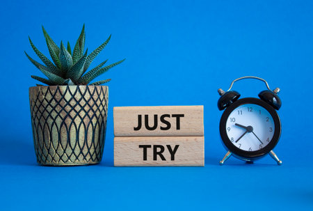 Just try symbol. Concept words Just try on wooden blocks. Beautiful blue background with alarm clock and succulent plant. Business and Just Try concept. Copy space.の写真素材