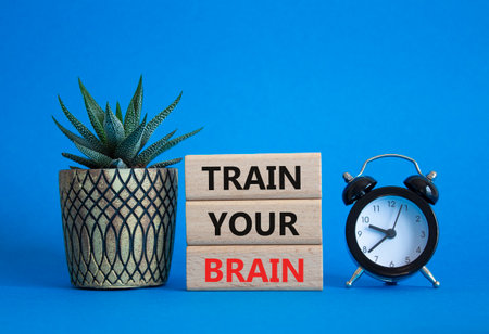 Train Your Brain symbol. Concept words Train Your Brain on wooden blocks. Beautiful blue background with succulent plant and alarm clock. Healthcare and Train Your Brain concept. Copy space.の写真素材