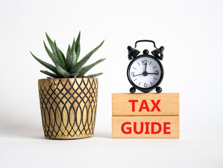 Tax Guide symbol. Concept word Tax Guide on Beautiful white background with alarm clock and succulent plant. Business and Tax Guide concept. Copy spaceの写真素材