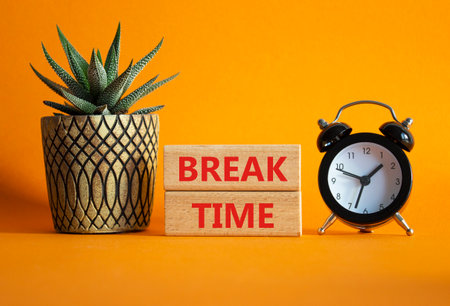 Break Time symbol. Wooden blocks with words Break Time. Beautiful orange background with alarm clock and succulent plant. Business and Break Time concept. Copy space.の写真素材