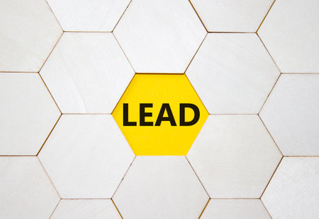 Lead symbol. Concept word Lead on wooden comb puzzle. Beautiful yellow background. Business and Lead concept. Copy space.の写真素材